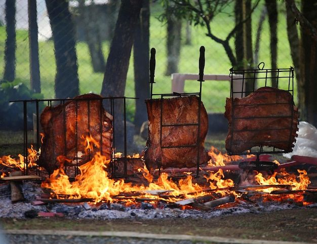 Fogo de chão